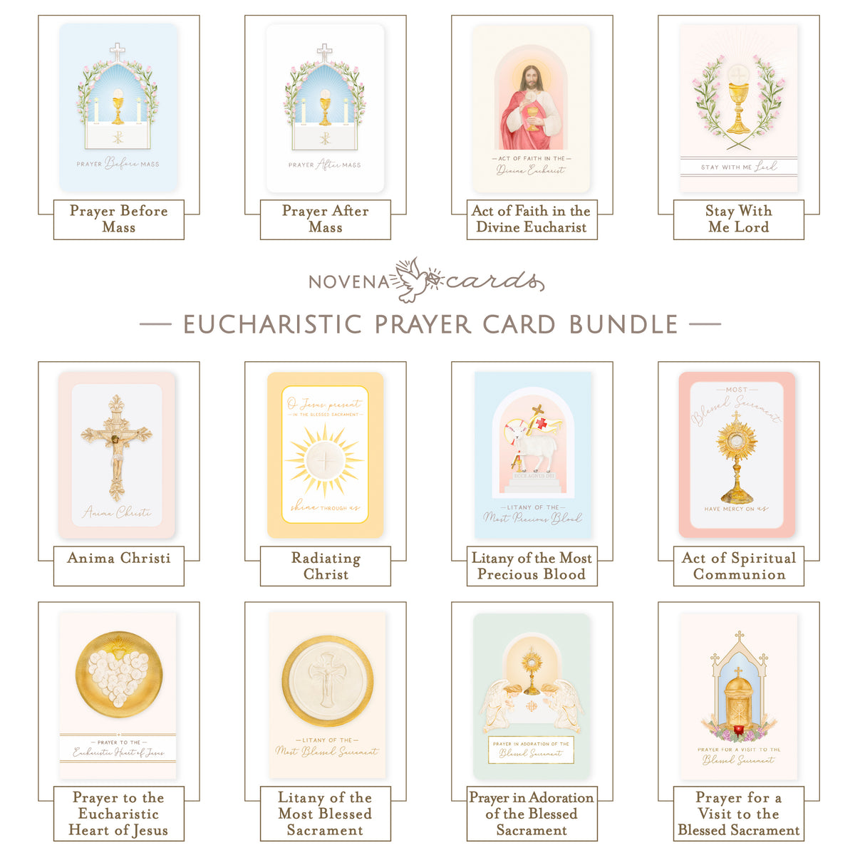 Eucharistic Prayer Card Bundle Novena Cards