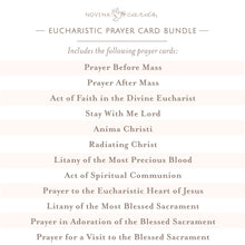 Load image into Gallery viewer, Eucharistic Prayer Card Bundle