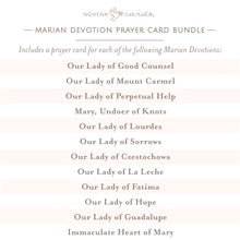 Load image into Gallery viewer, Marian Devotion Prayer Card Bundle