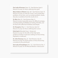Load image into Gallery viewer, Novena Greeting Cards + Prayer Cards Starter Bundle