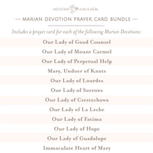 Load image into Gallery viewer, Marian Devotion Prayer Card Bundle
