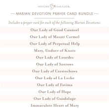 Load image into Gallery viewer, Marian Devotion Prayer Card Bundle