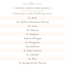 Load image into Gallery viewer, Novena Prayer Card Bundle
